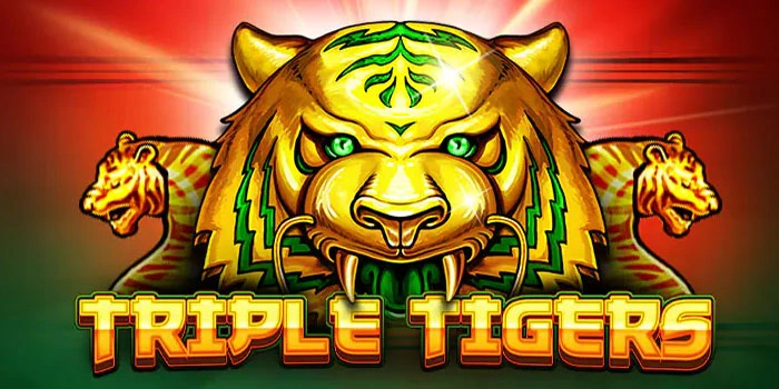 Panduan Lengkap Pemula Bermain Slot Triple-Tigers